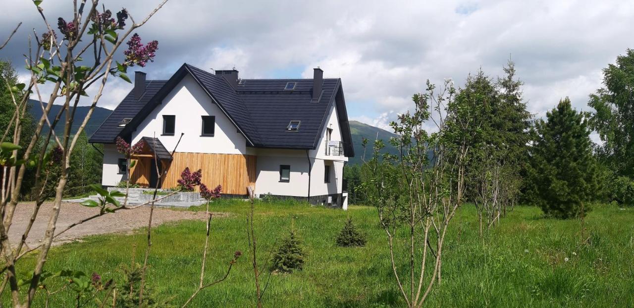 Pod Wielka Zalesiona Gora Wetlina Bagian luar foto
