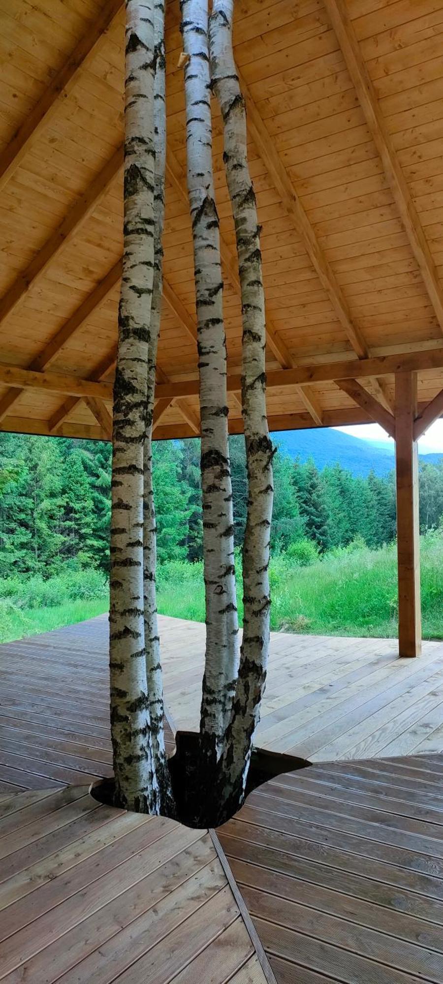 Pod Wielka Zalesiona Gora Wetlina Bagian luar foto